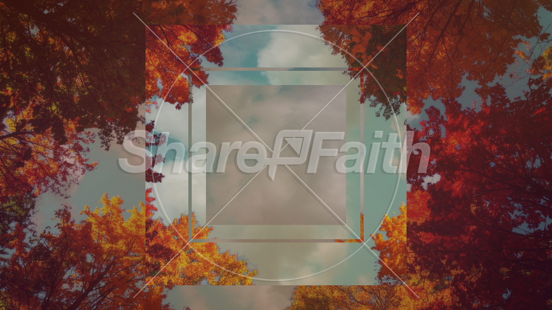 Fall Trees Collection: Fall Trees 3 Remix Still