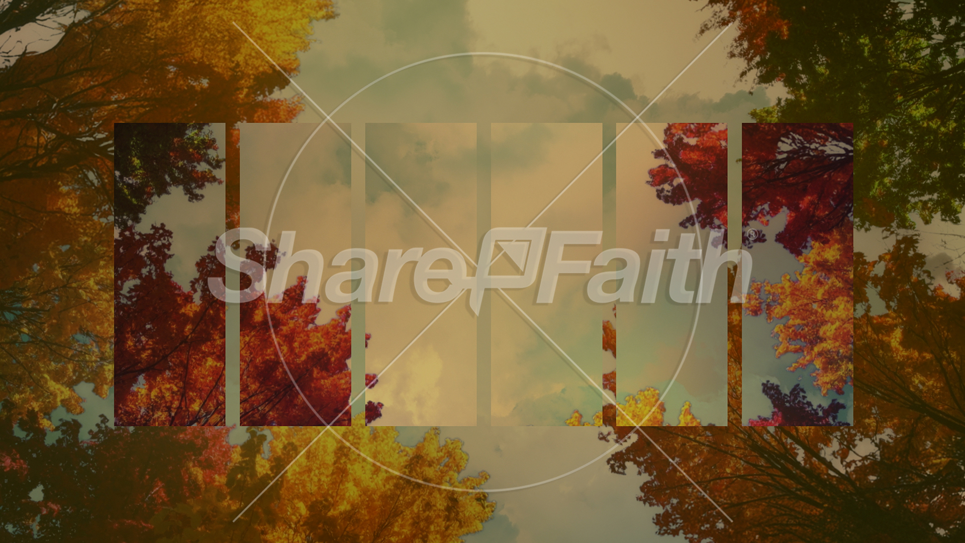 Fall Trees Collection: Fall Trees 4 Remix Still