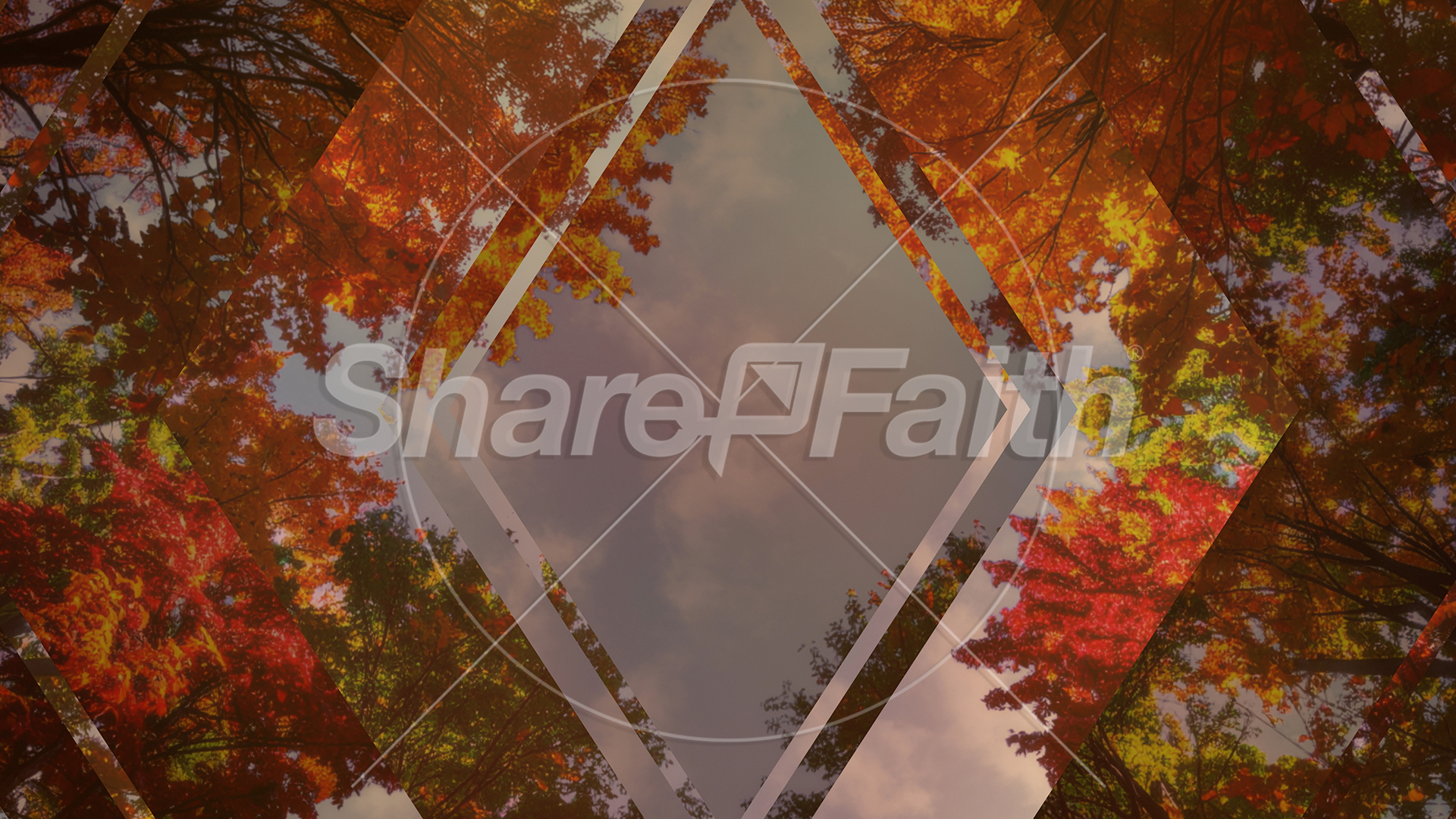 Fall Trees Collection: Fall Trees 1 Remix Still