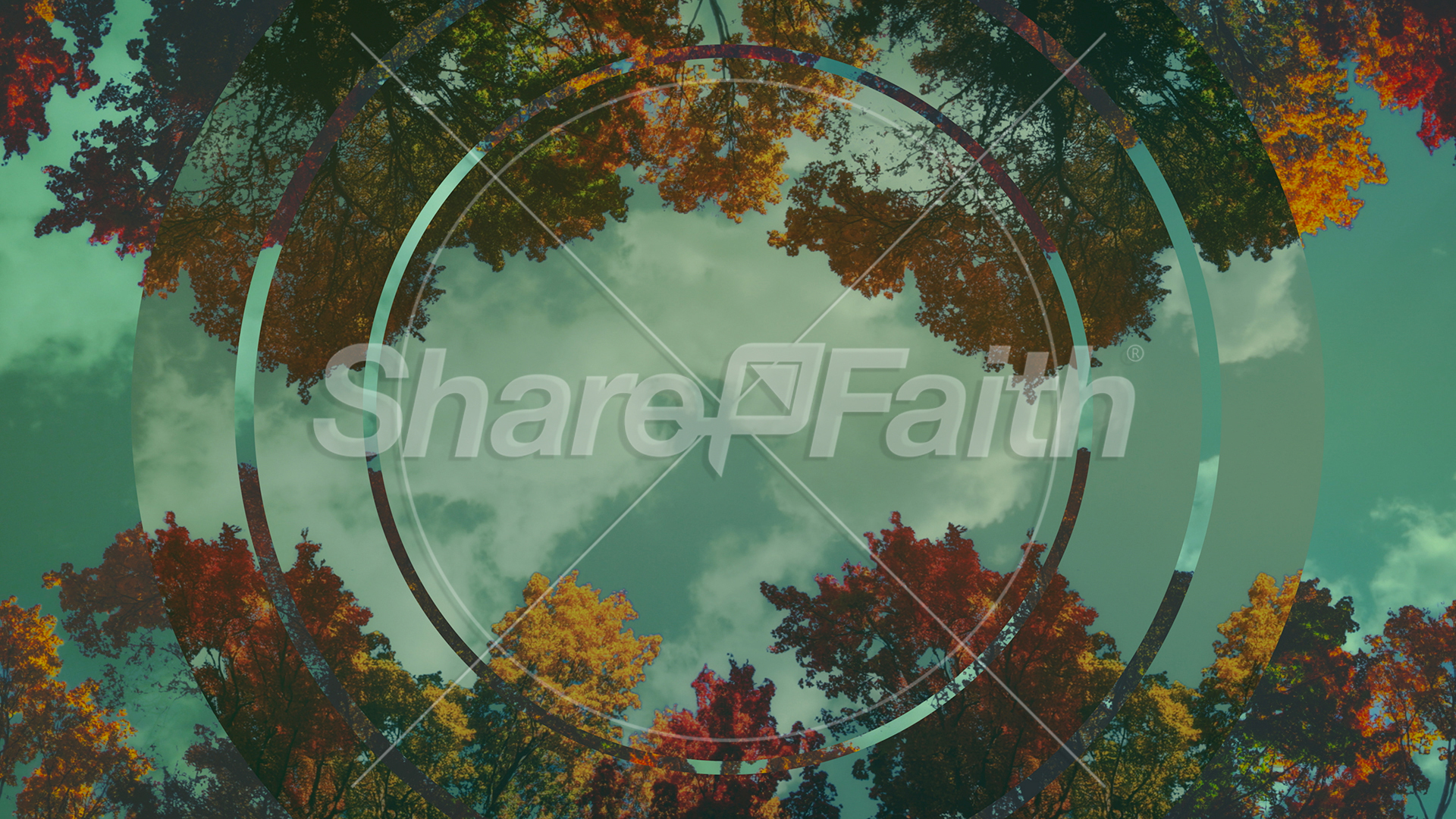 Fall Trees Collection: Fall Trees 2 Remix Still