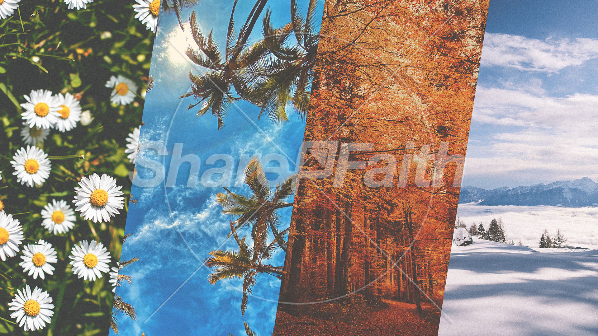 For Every Season Collection: Title Graphics