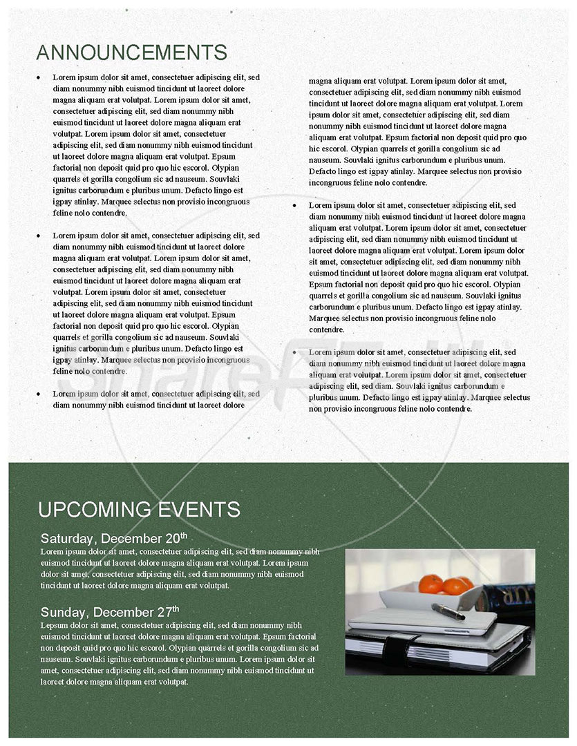 Christmas Party: Newsletter