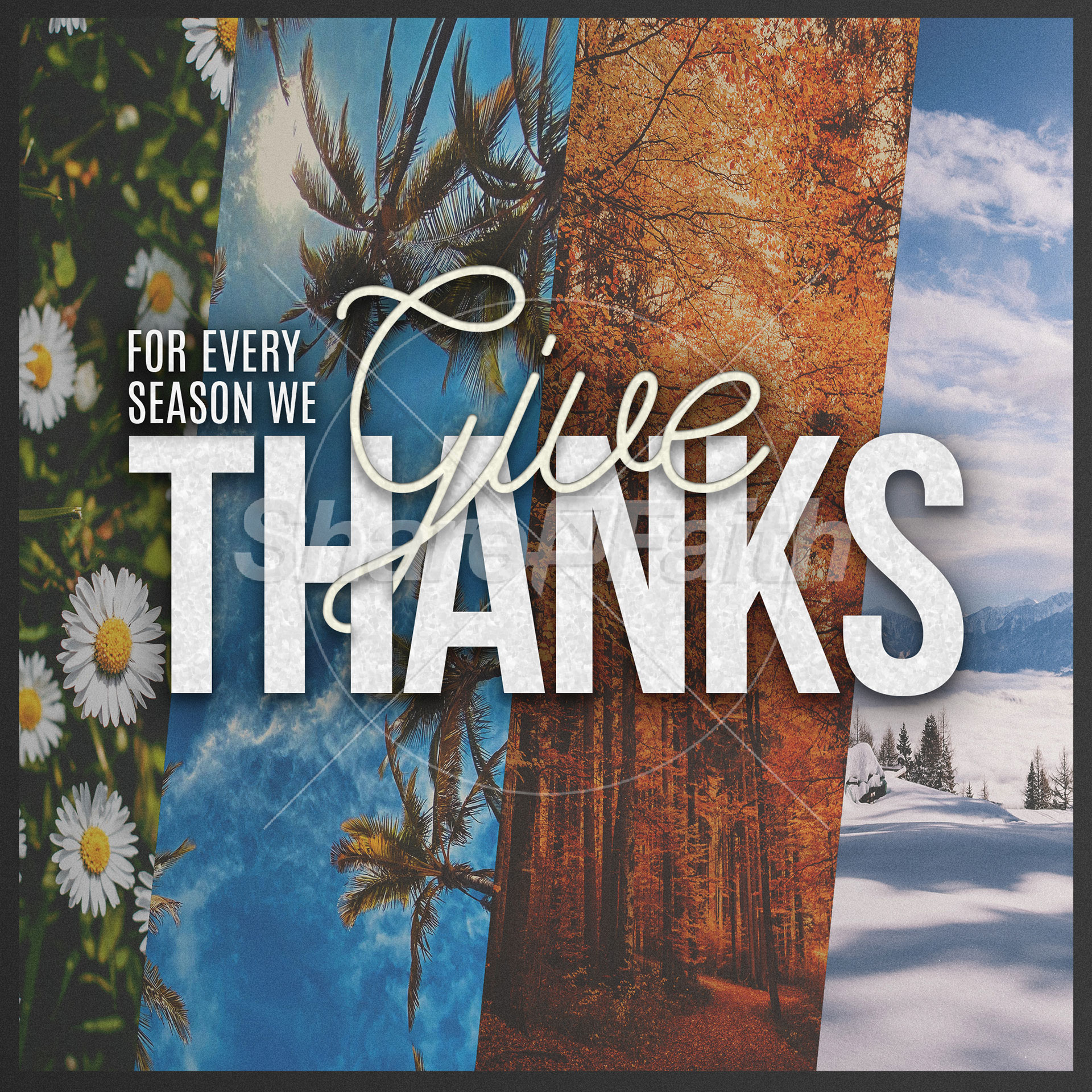 For Every Season Collection: Social Media Graphics