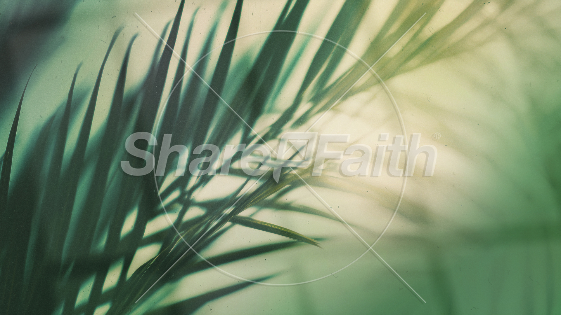 Palm Sunday – Green Palm Branches Blank: Title Graphics