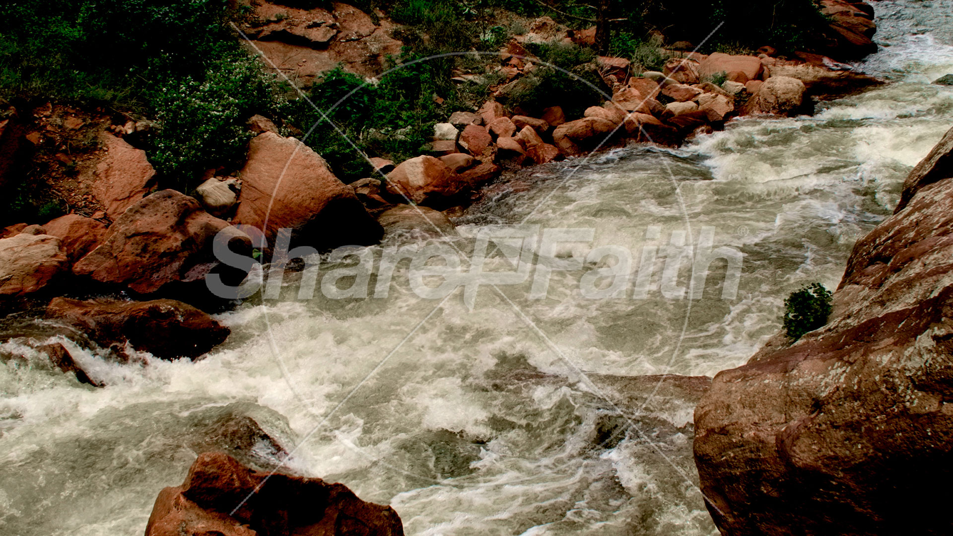 El Dorado Collection: 19 Still