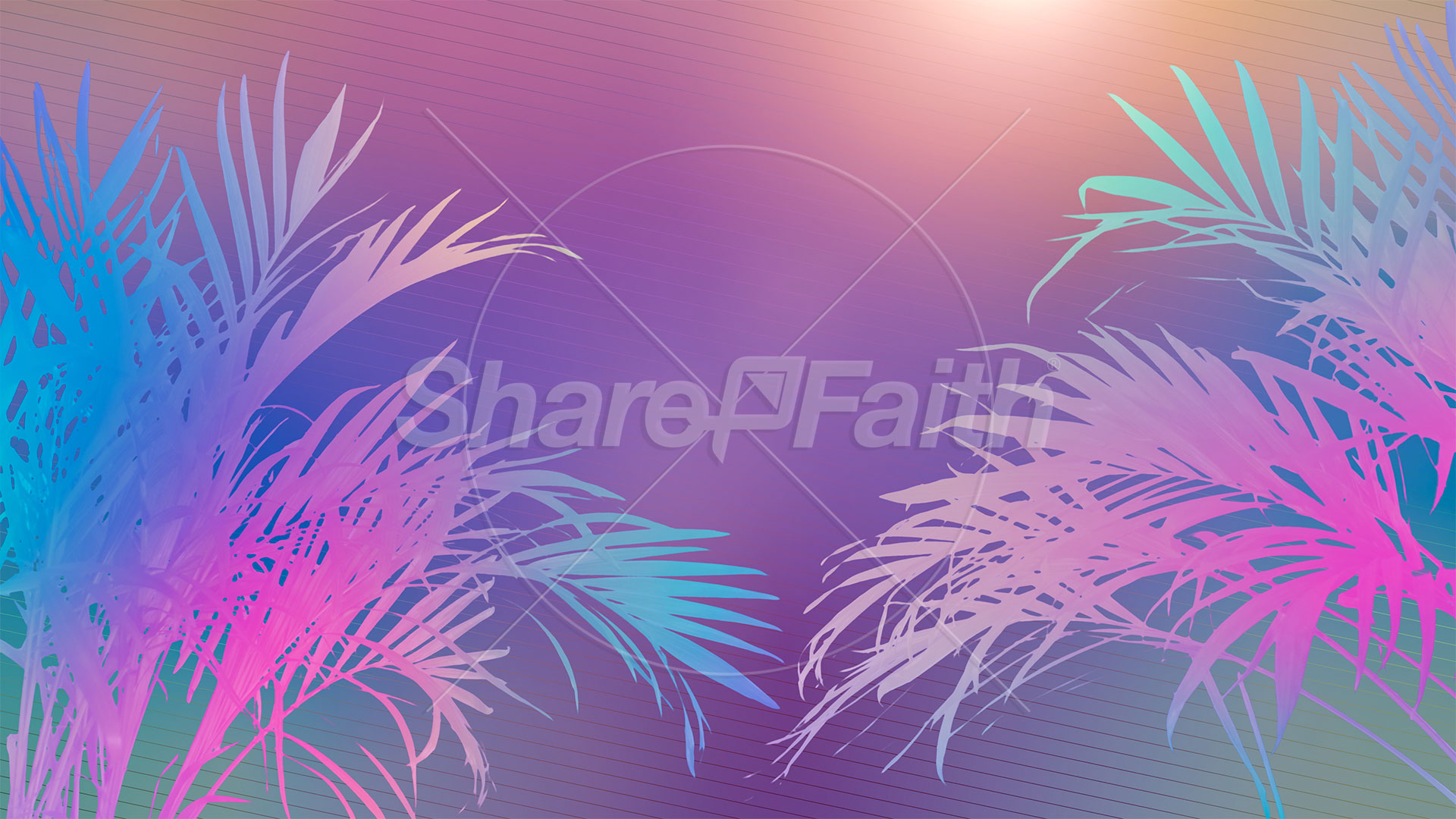 Sun Palms Collection: 12