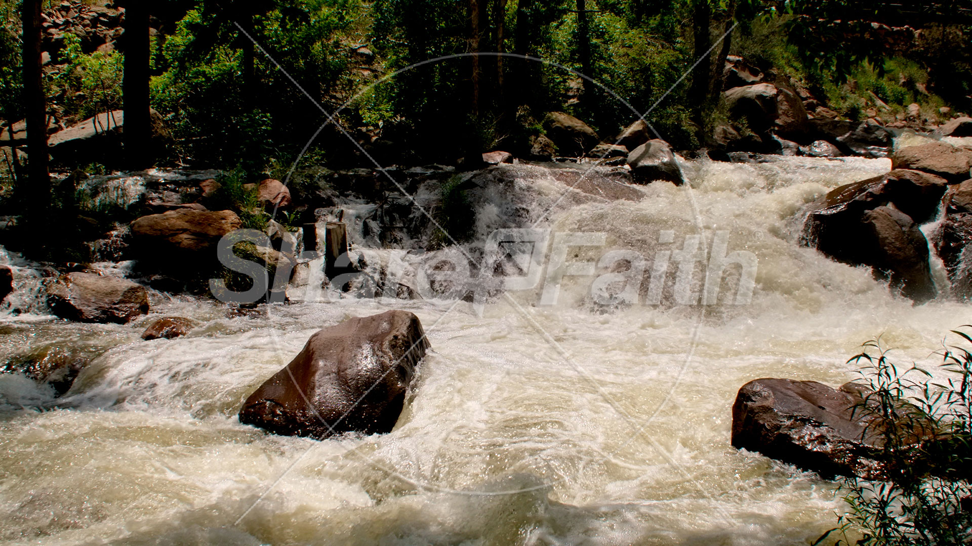 El Dorado Collection: 12 Still