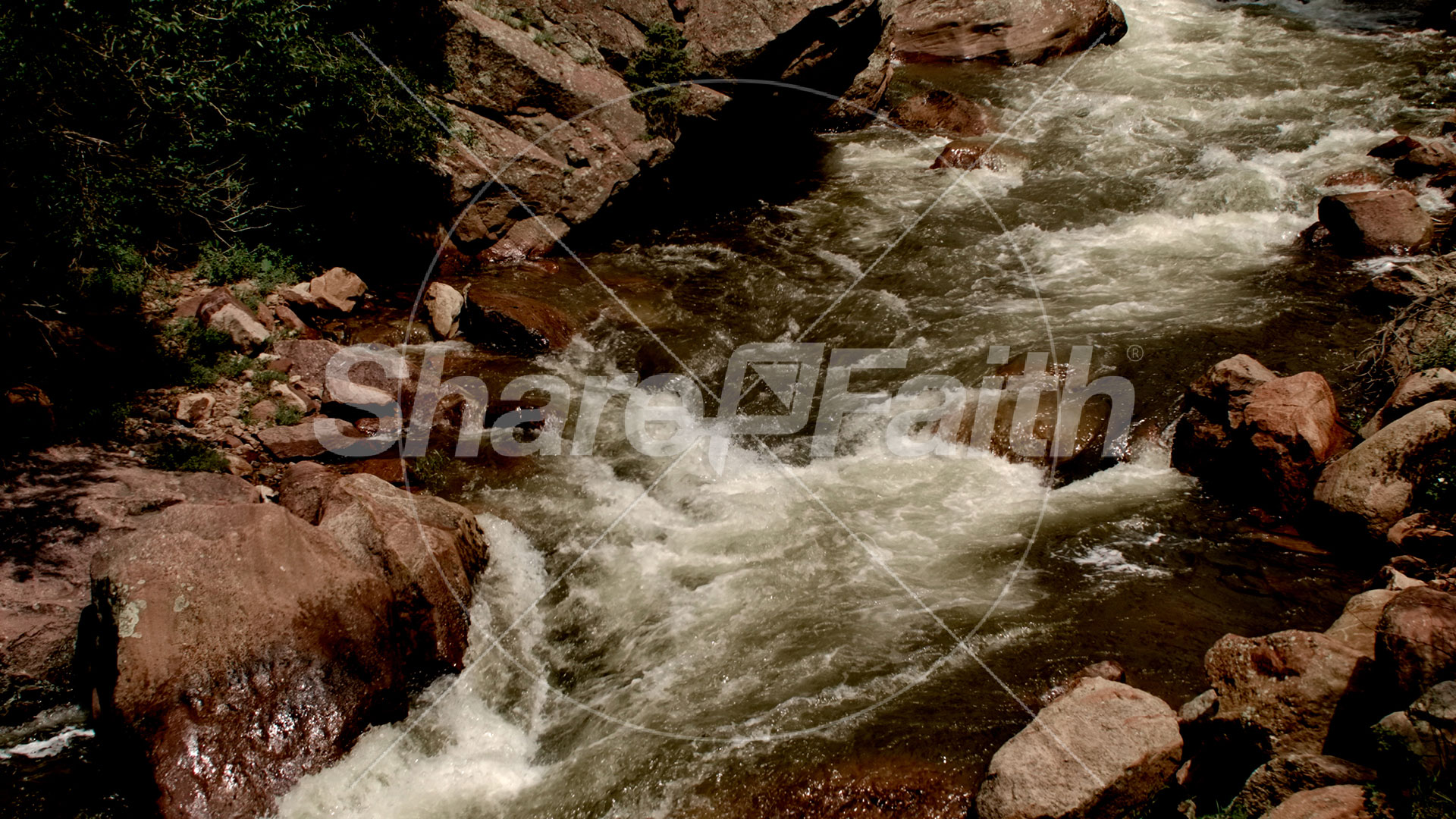 El Dorado Collection: 2 Still