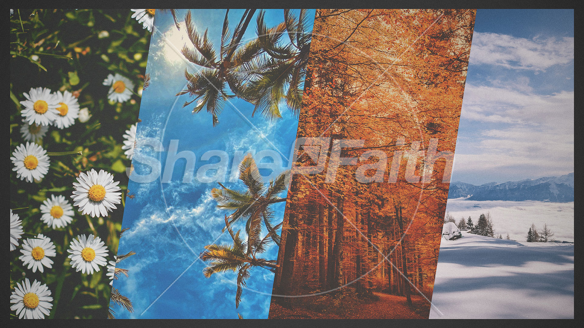 For Every Season Collection: Title Graphics