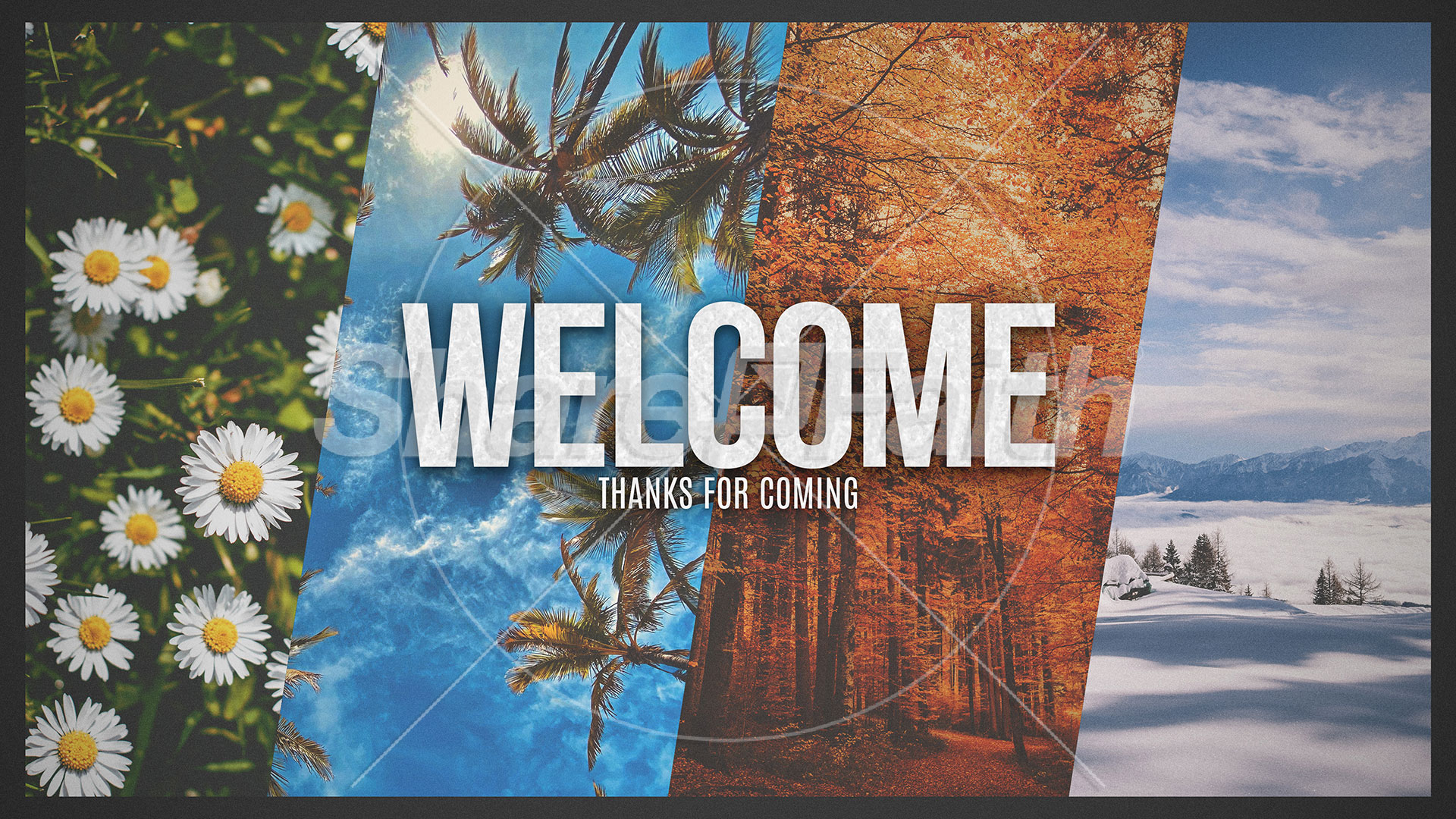 For Every Season Collection: Title Graphics