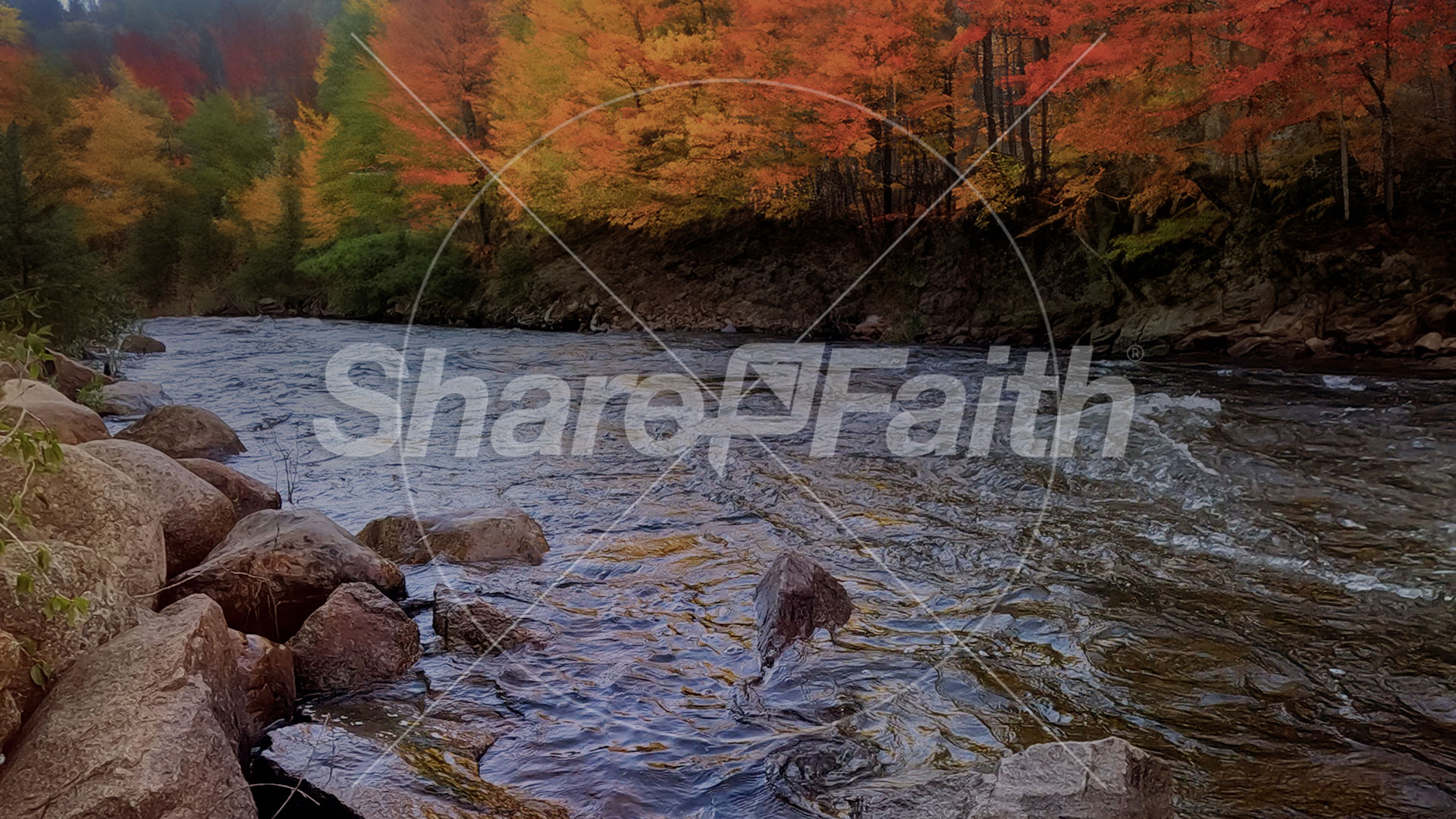 Northwest Fall Collection: Northwest Fall 1 Motion