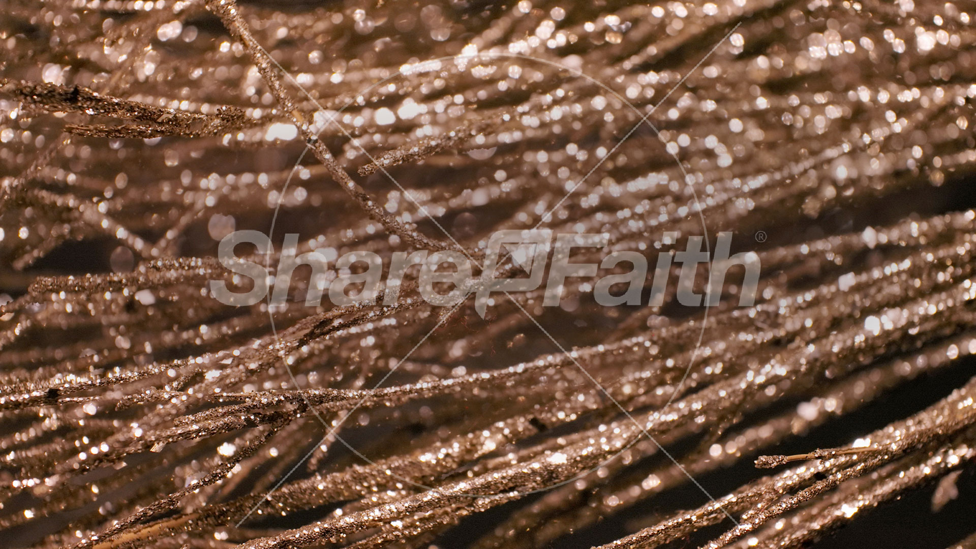 Christmas Gold 2 – Still