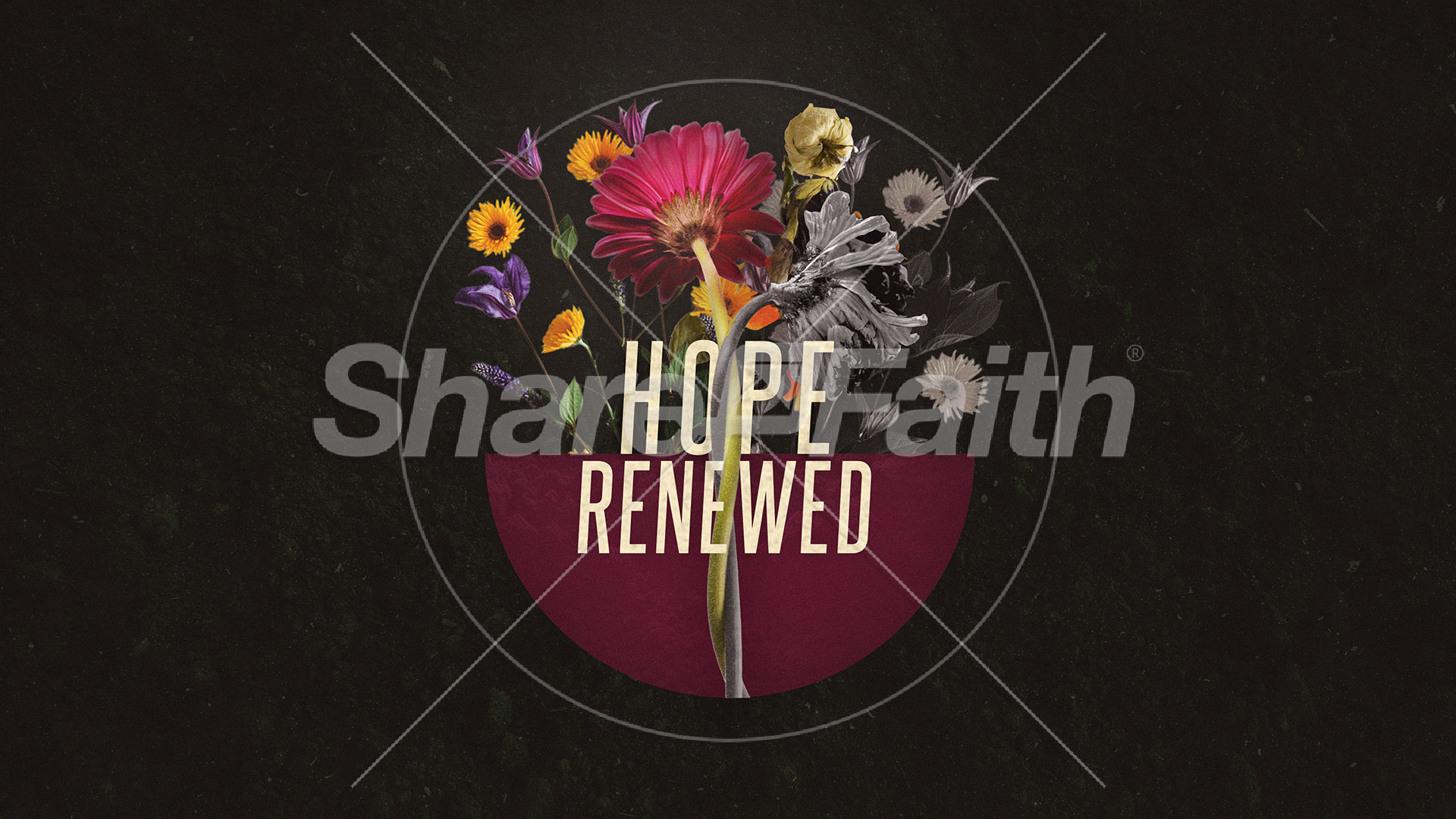 Hope Renewed: Social Media Graphics