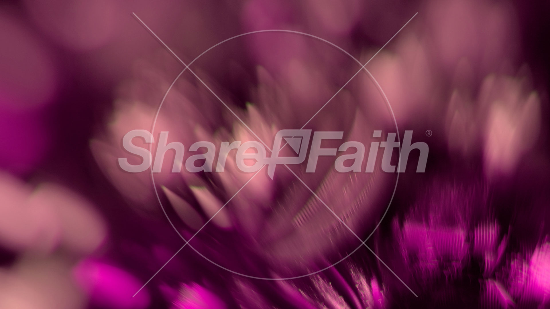 Christmas Ornamental Collection: Christmas Ornamental 8 Still