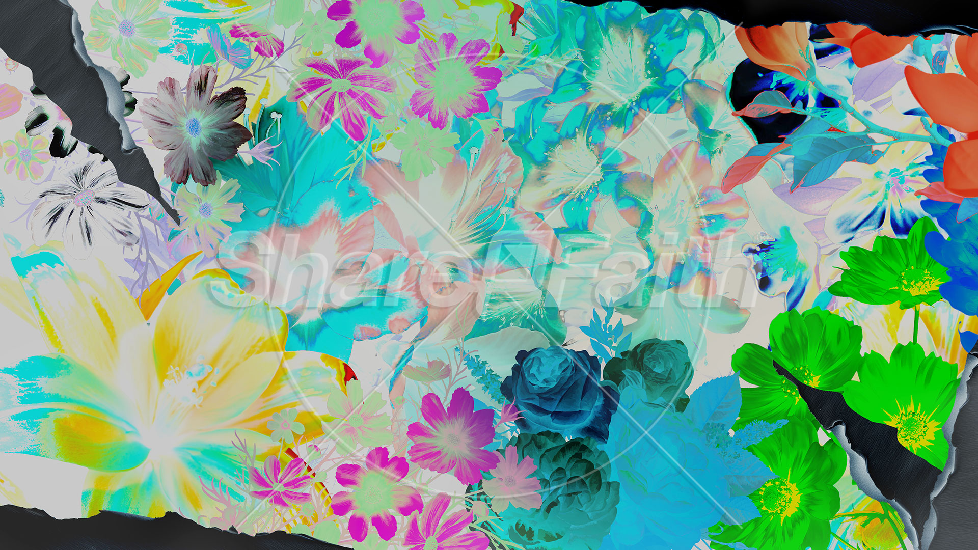 Flourish: Title Graphic