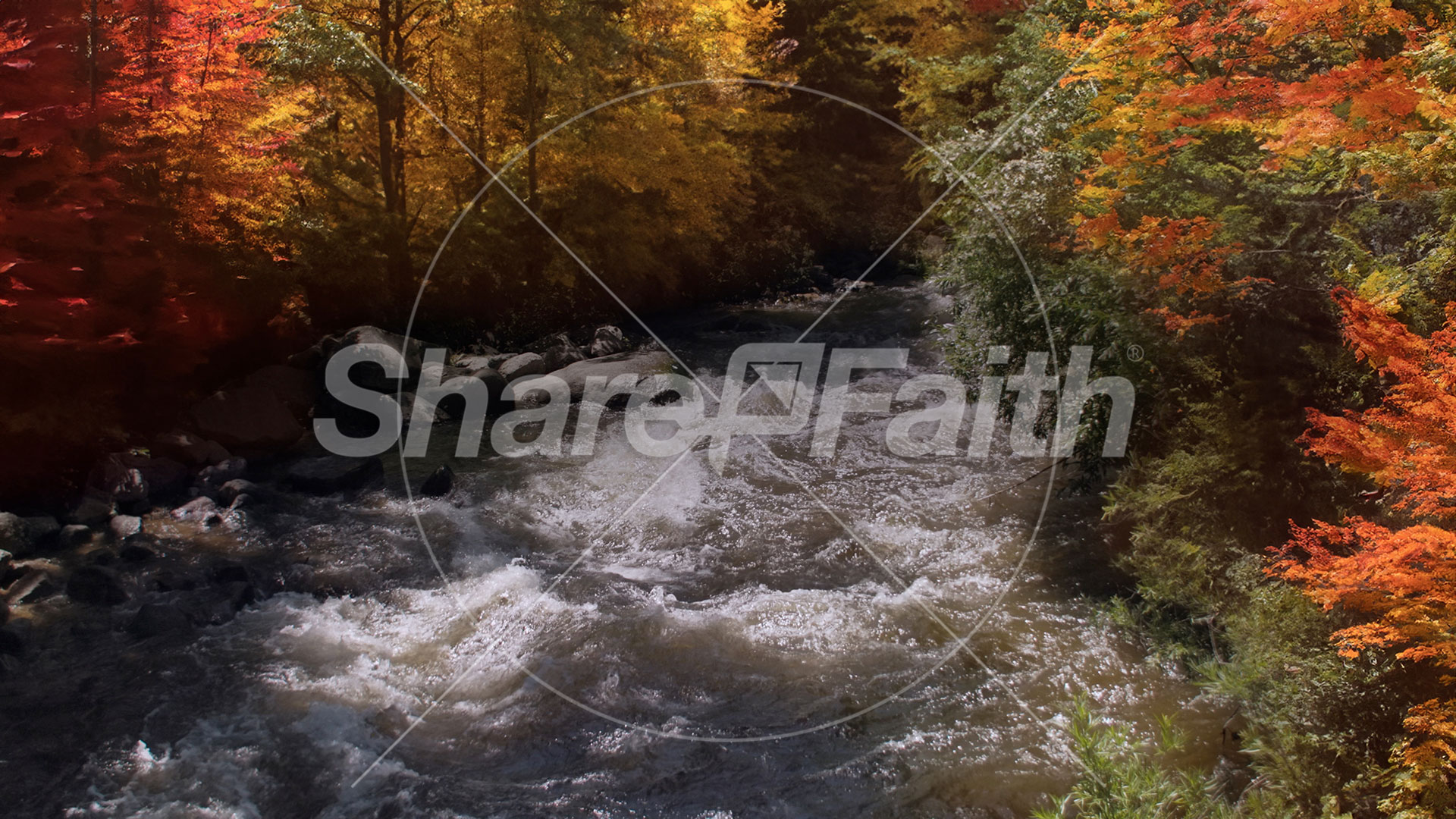 Northwest Fall Collection: Northwest Fall 2 Motion