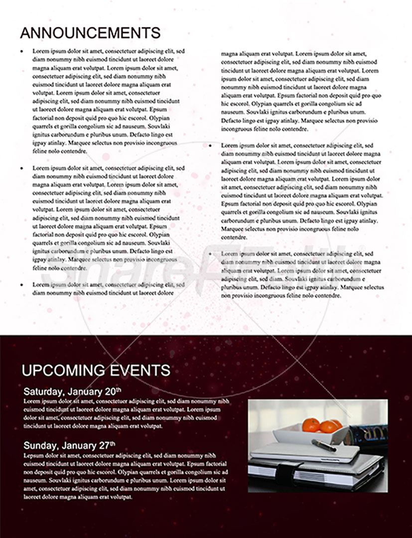 Happy New Year: Newsletter