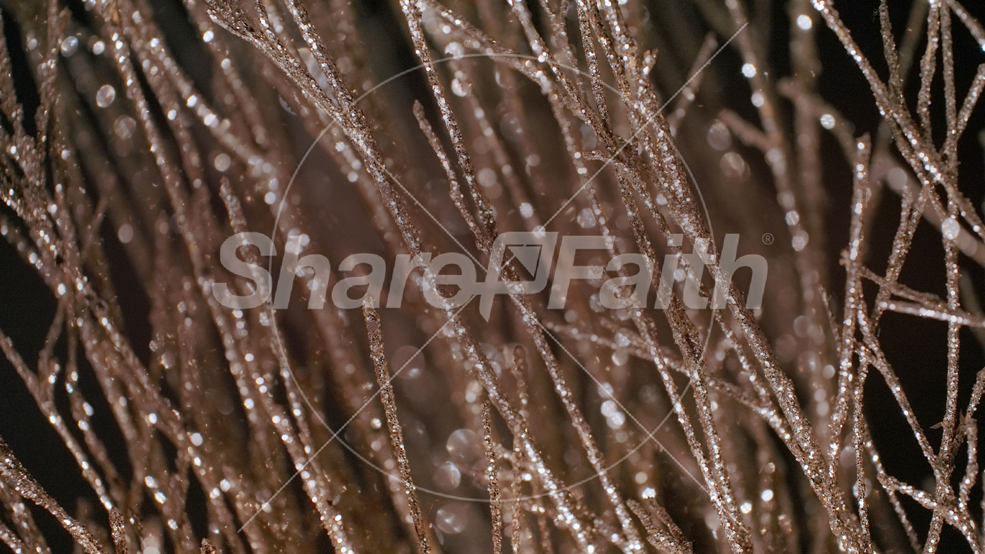 Christmas Gold 15 – Still