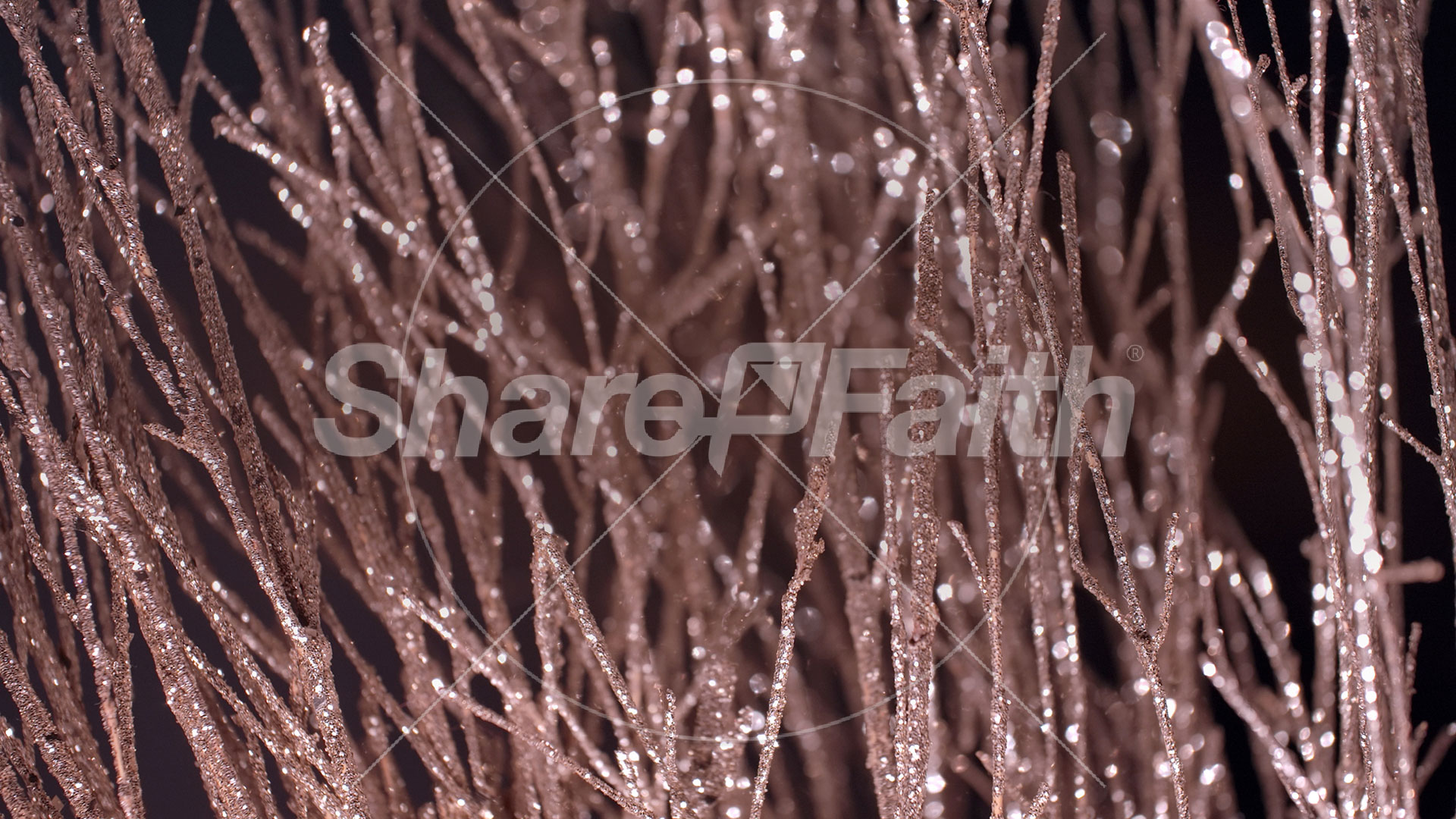 Christmas Gold 16 – Still