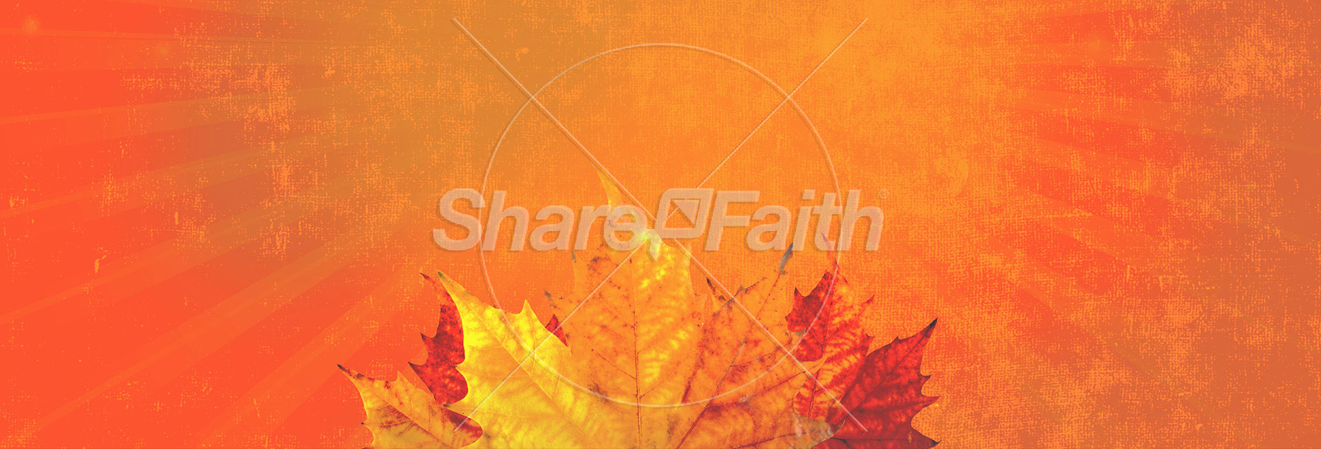 Harvest Palooza: Web Banner