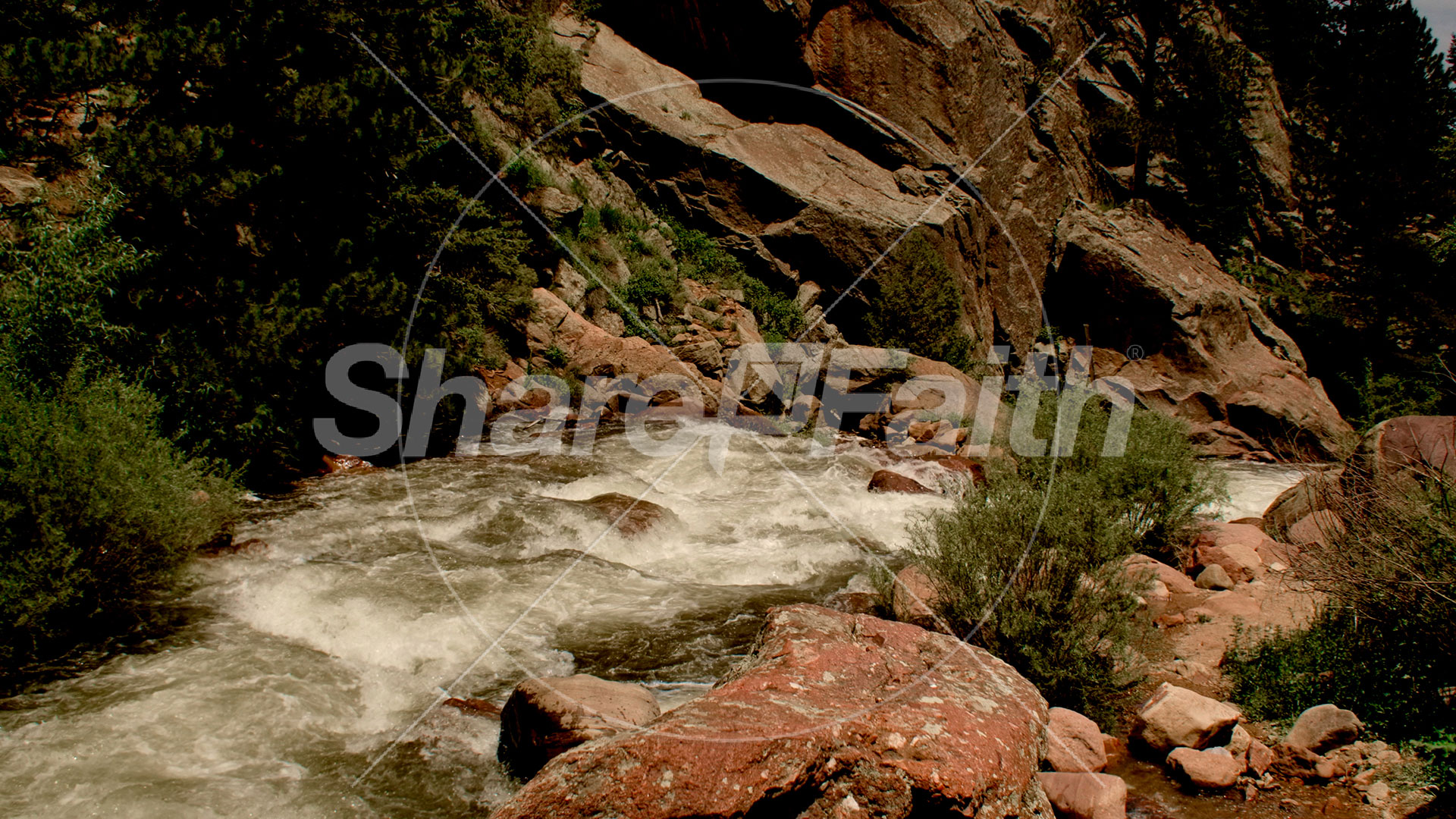 El Dorado Collection: 16 Still