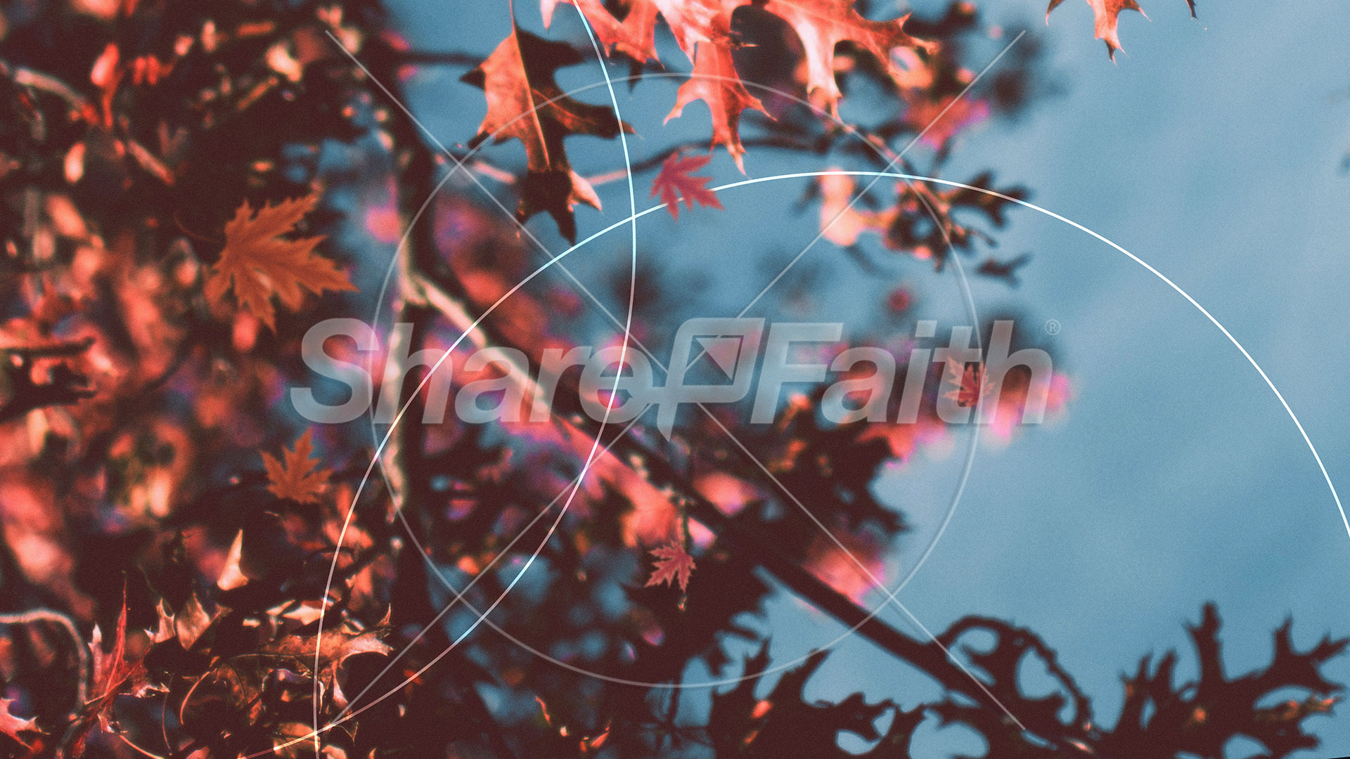 Gratitude Attitude: Title Graphic