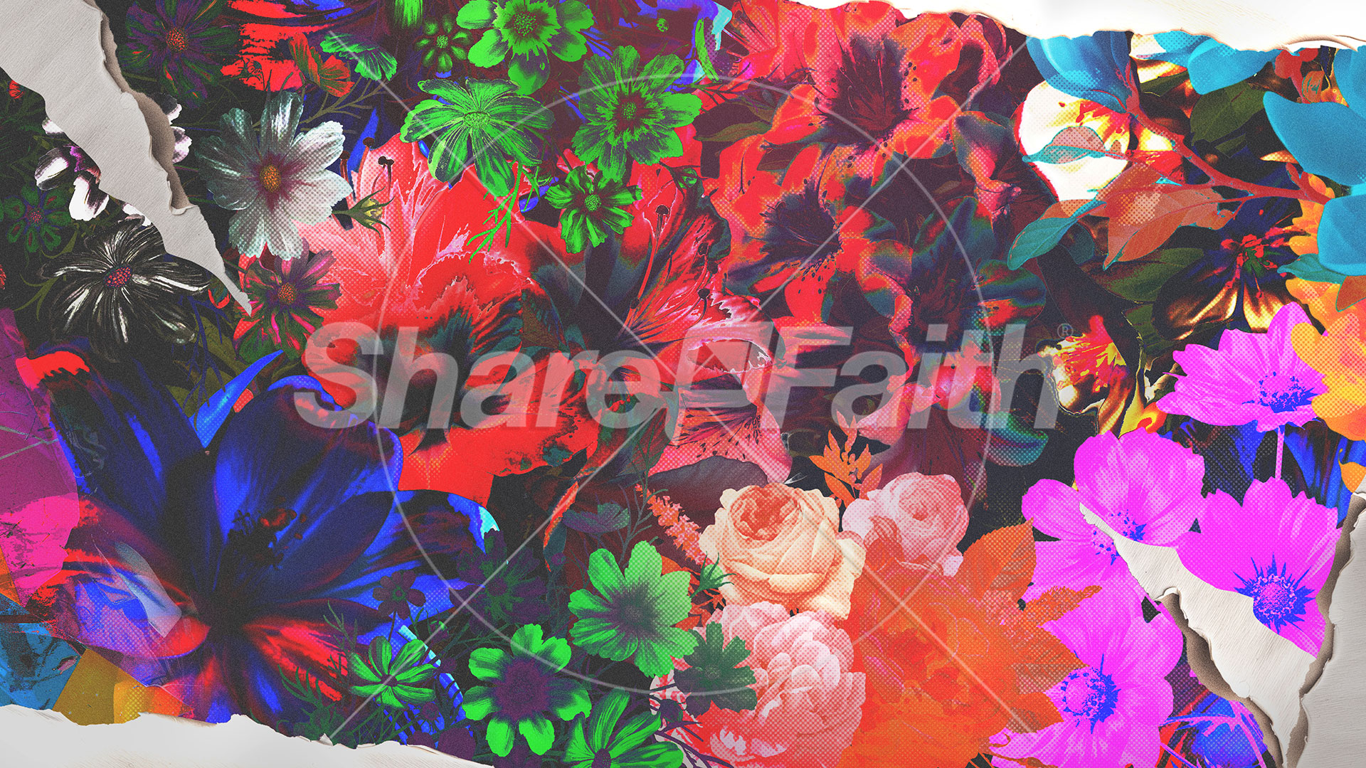 Flourish: Title Graphic