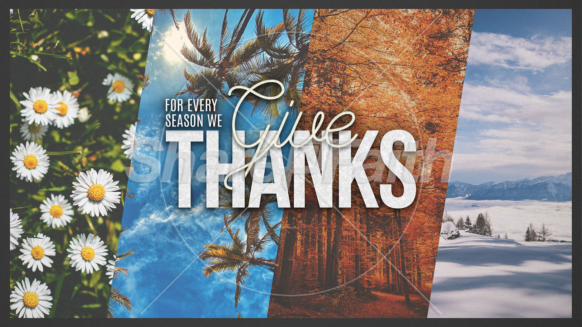 For Every Season Collection: Social Media Graphics