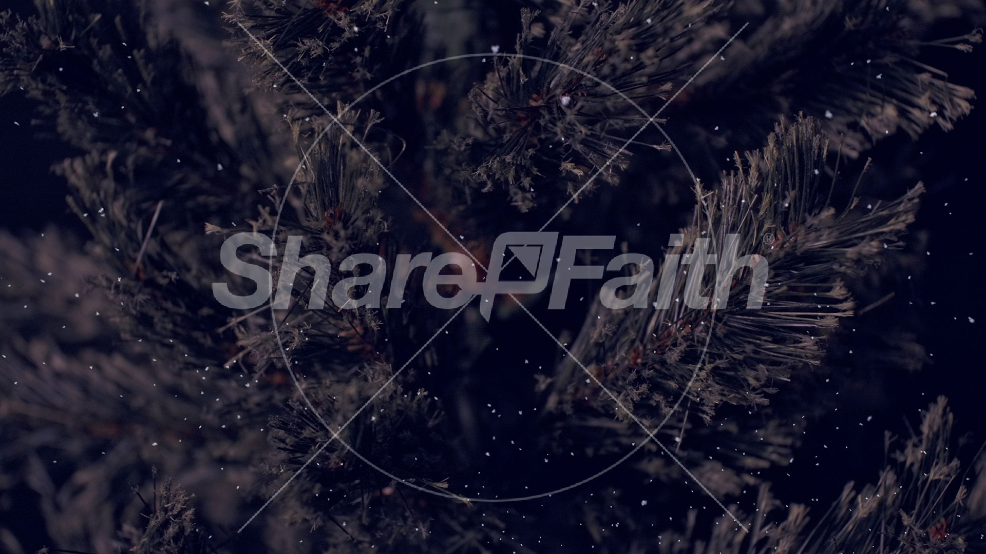 Christmas Tree: 6 – Still