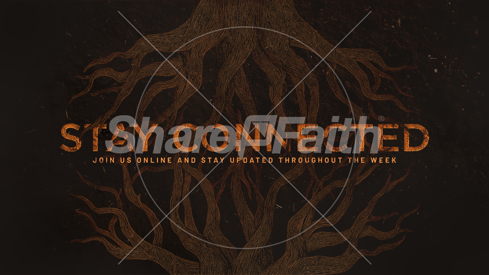 Rooted Rustic Roots – Stay Connected: Title Graphics