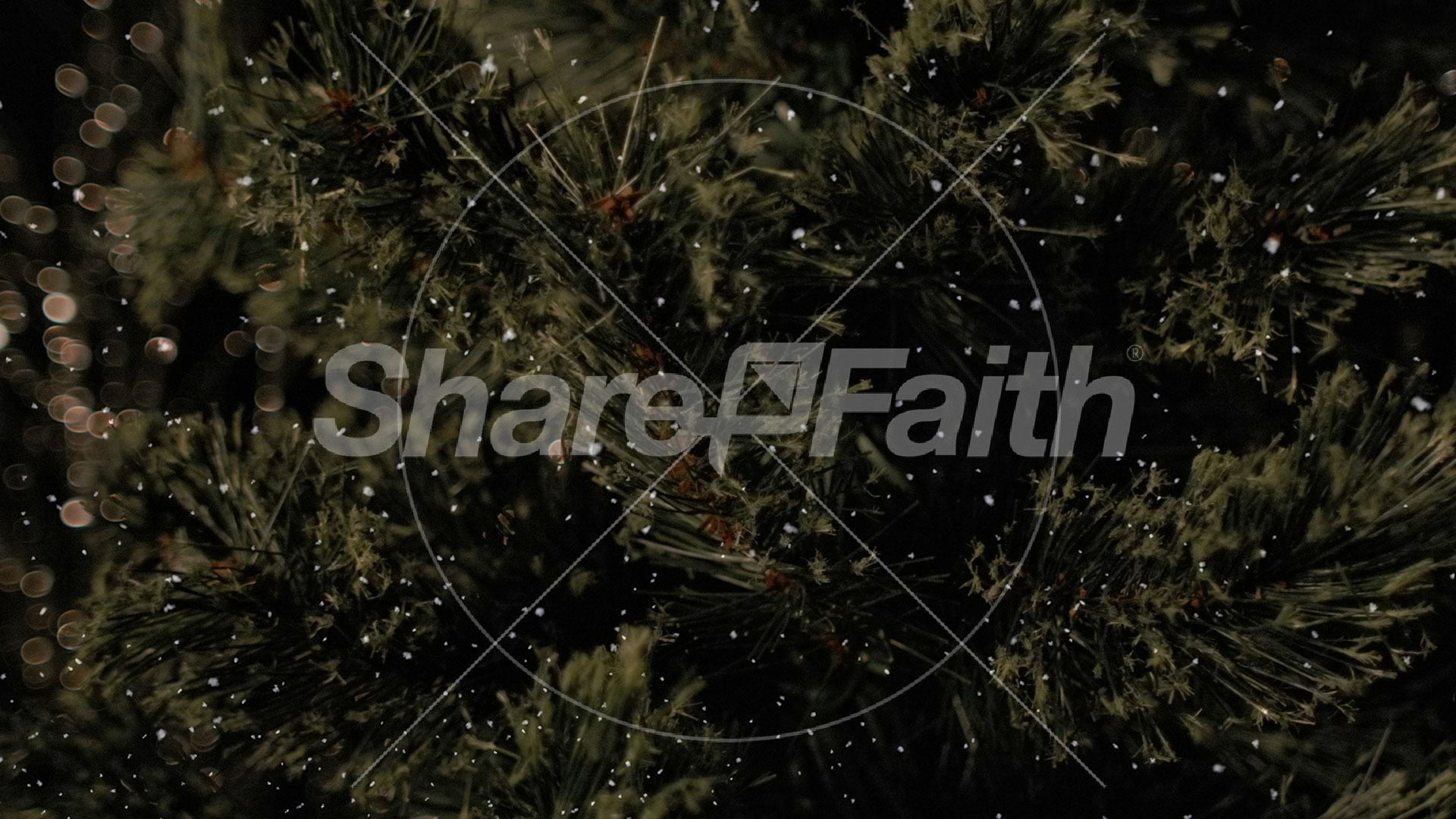 Christmas Tree: 7 – Still