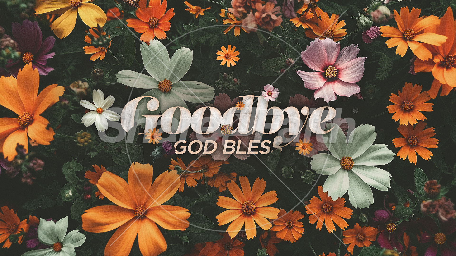 New Life In Christ: Title Graphics