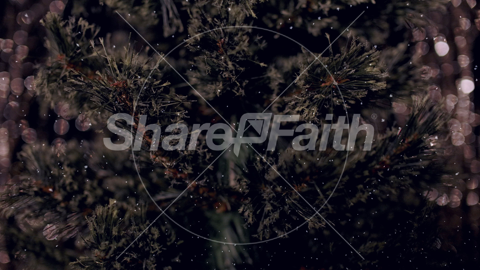 Christmas Tree: 9 – Still