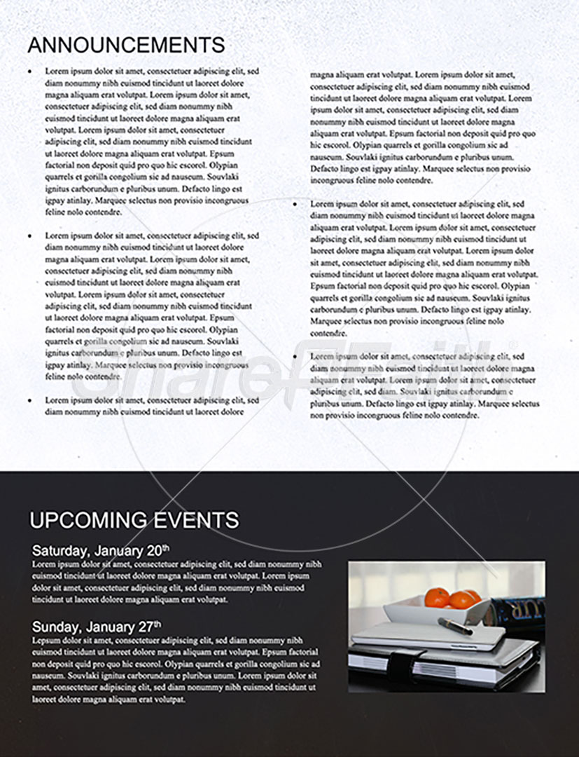 New Beginning: Newsletter