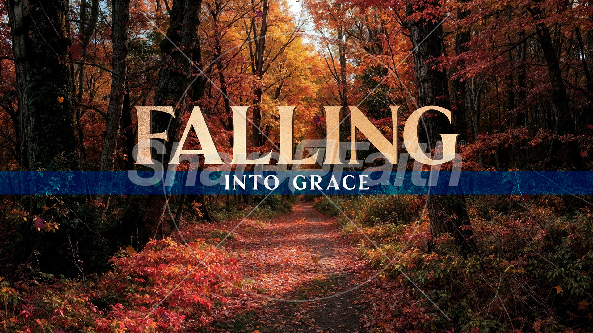 ShareFaith Media » Forest Fall Collection: Forest Fall Falling into ...