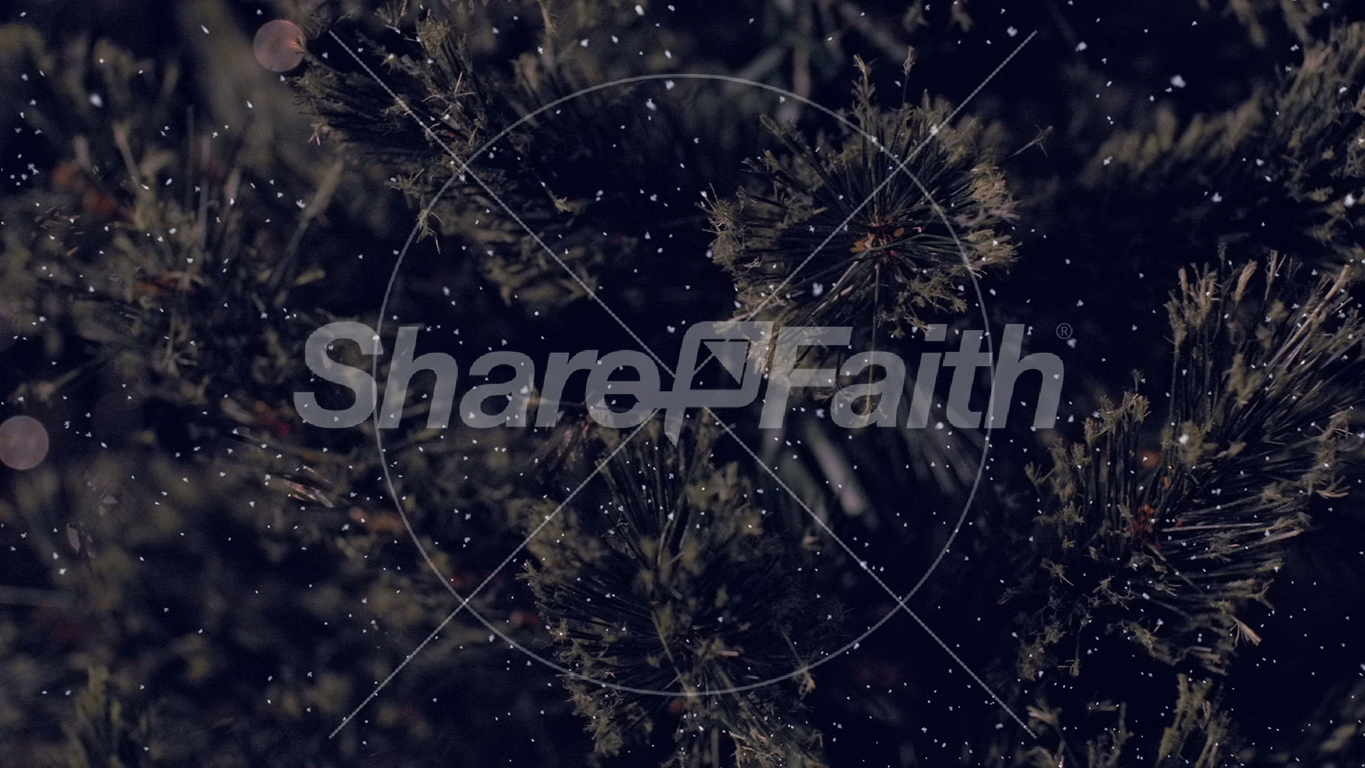 Christmas Tree: 1 – Still