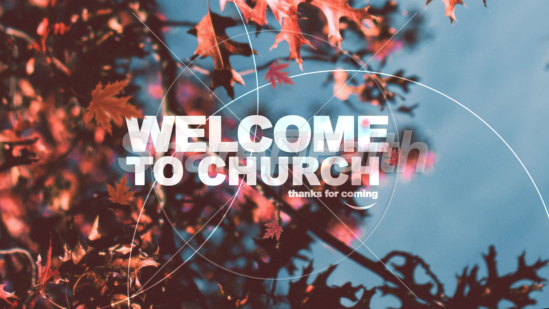 Gratitude Attitude: Title Graphic