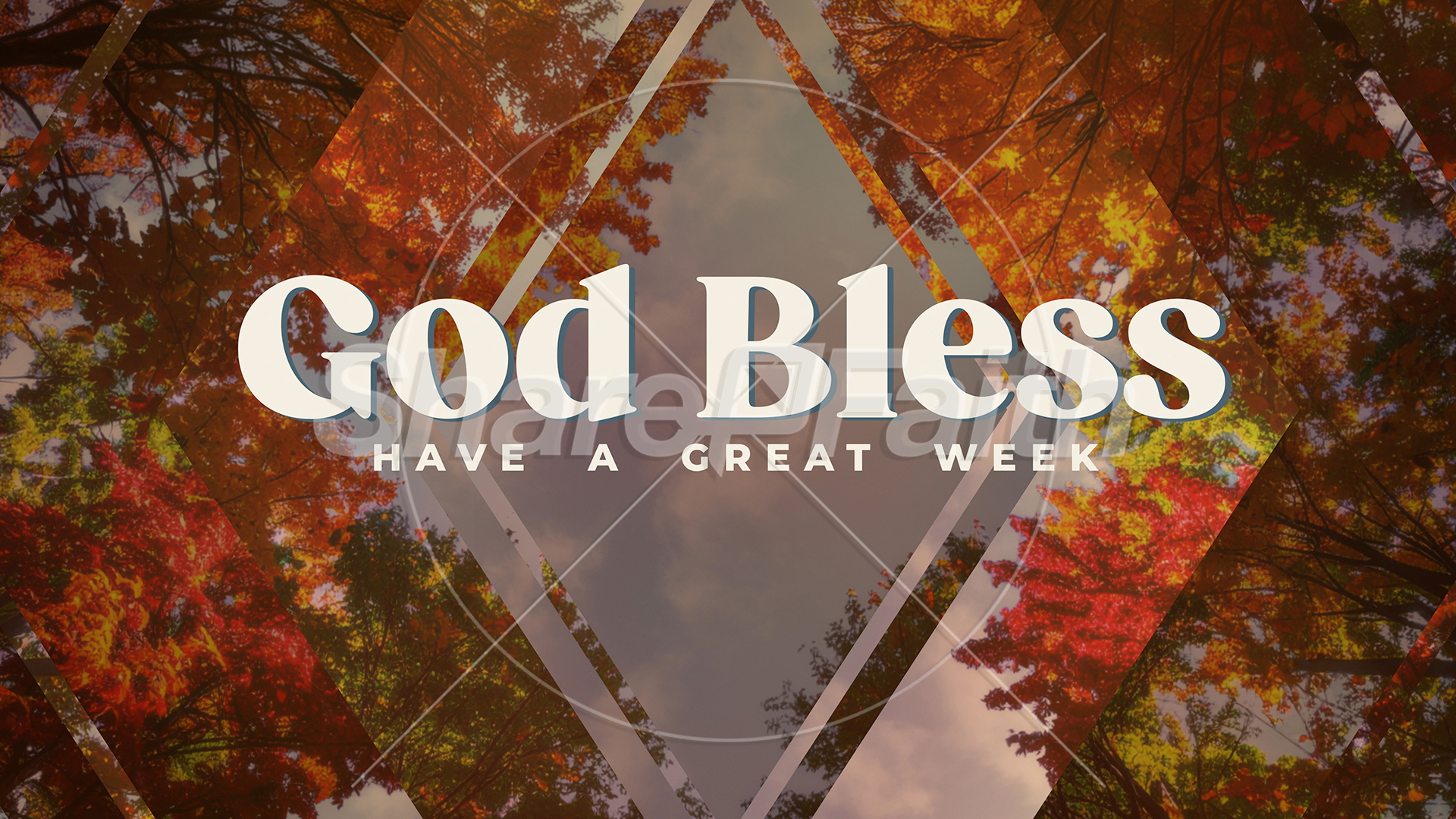 ShareFaith Media » Fall Trees Collection: Fall Trees Close – ShareFaith ...