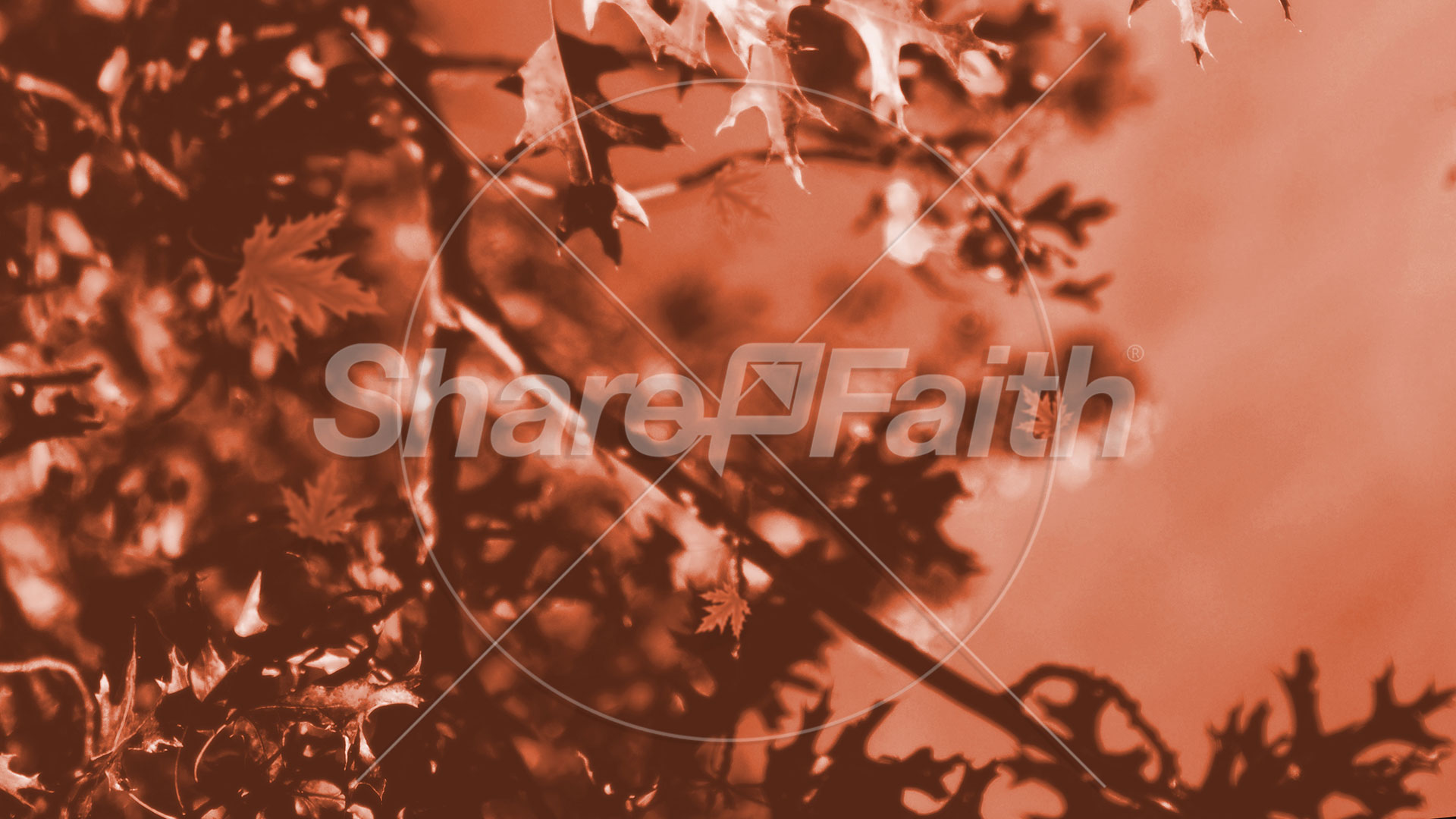 Gratitude Attitude: Title Graphic