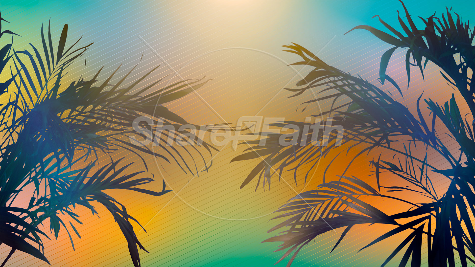 Sun Palms Collection: 13