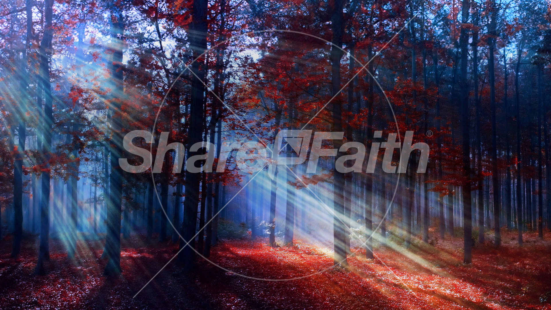 Autumn Light Collection: Autumn Light 7 Still
