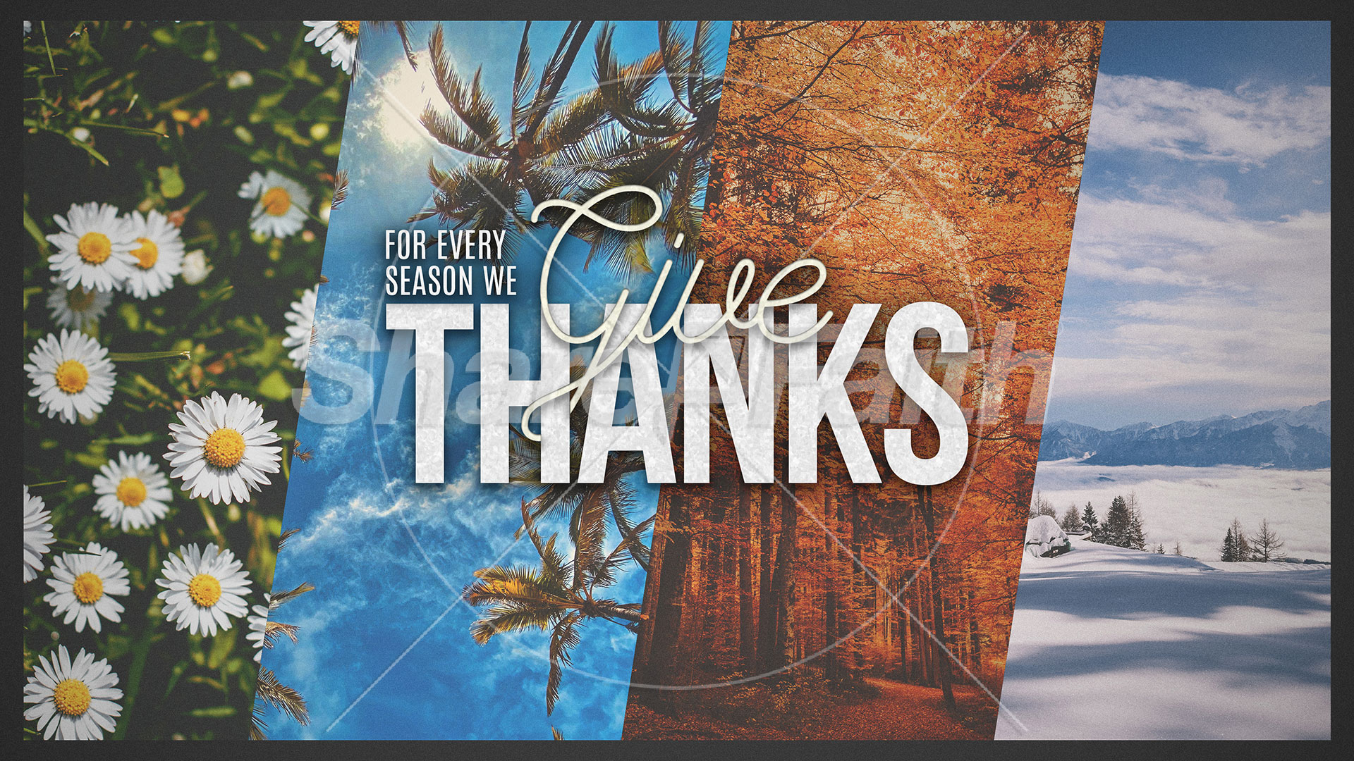 For Every Season Collection: Title Graphics