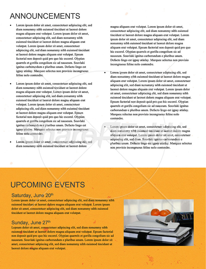 Summer Camp: Newsletter