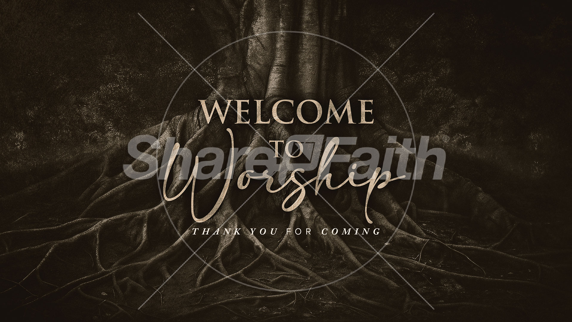 A Lasting Legacy: Title Graphics