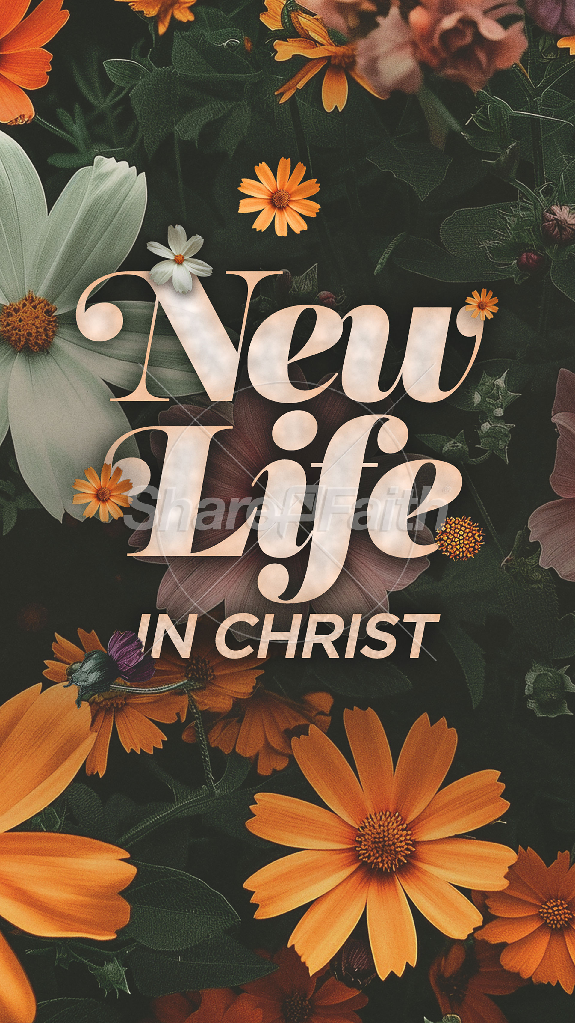 New Life in Christ: Social Media Graphics