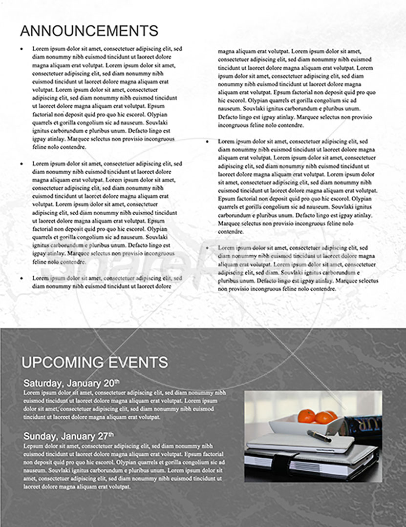 Into the Wilderness: Newsletter