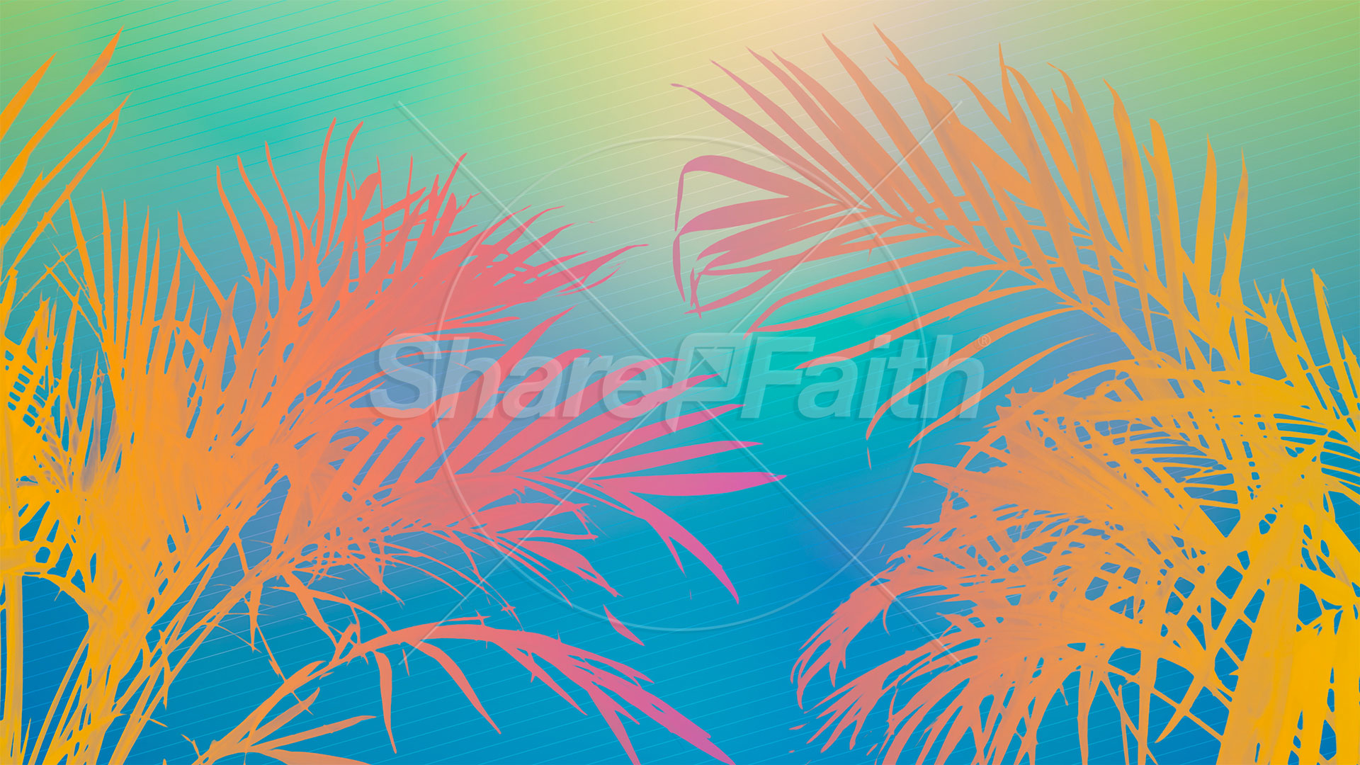 Sun Palms Collection: 6