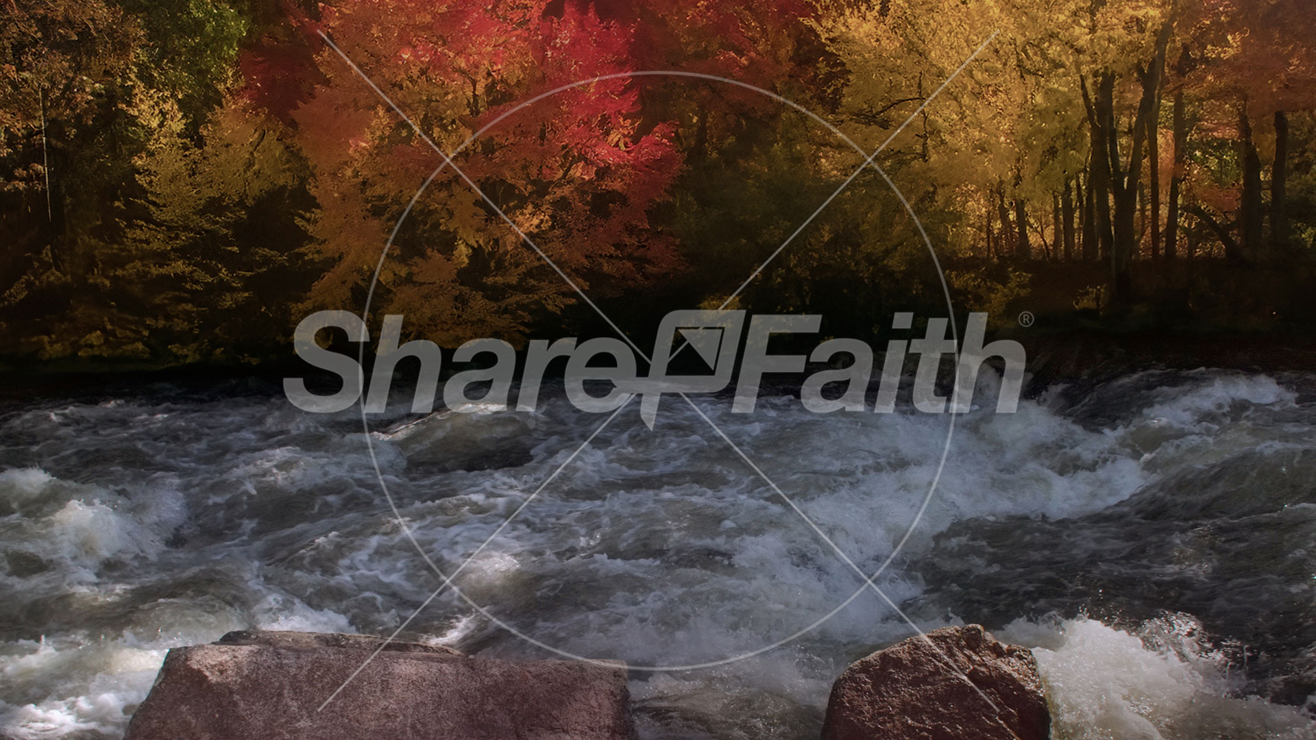 Northwest Fall Collection: Northwest Fall 11 Still