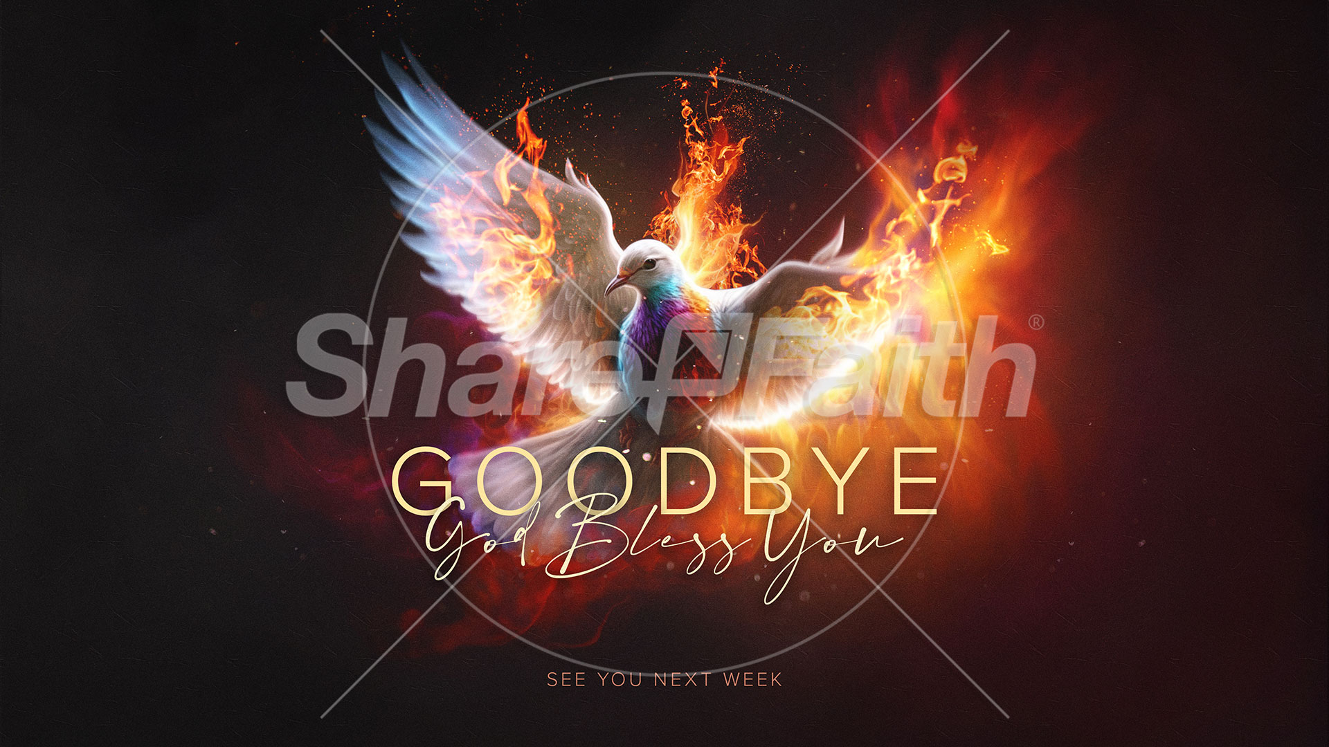 Pentecost Sunday: Title Graphic
