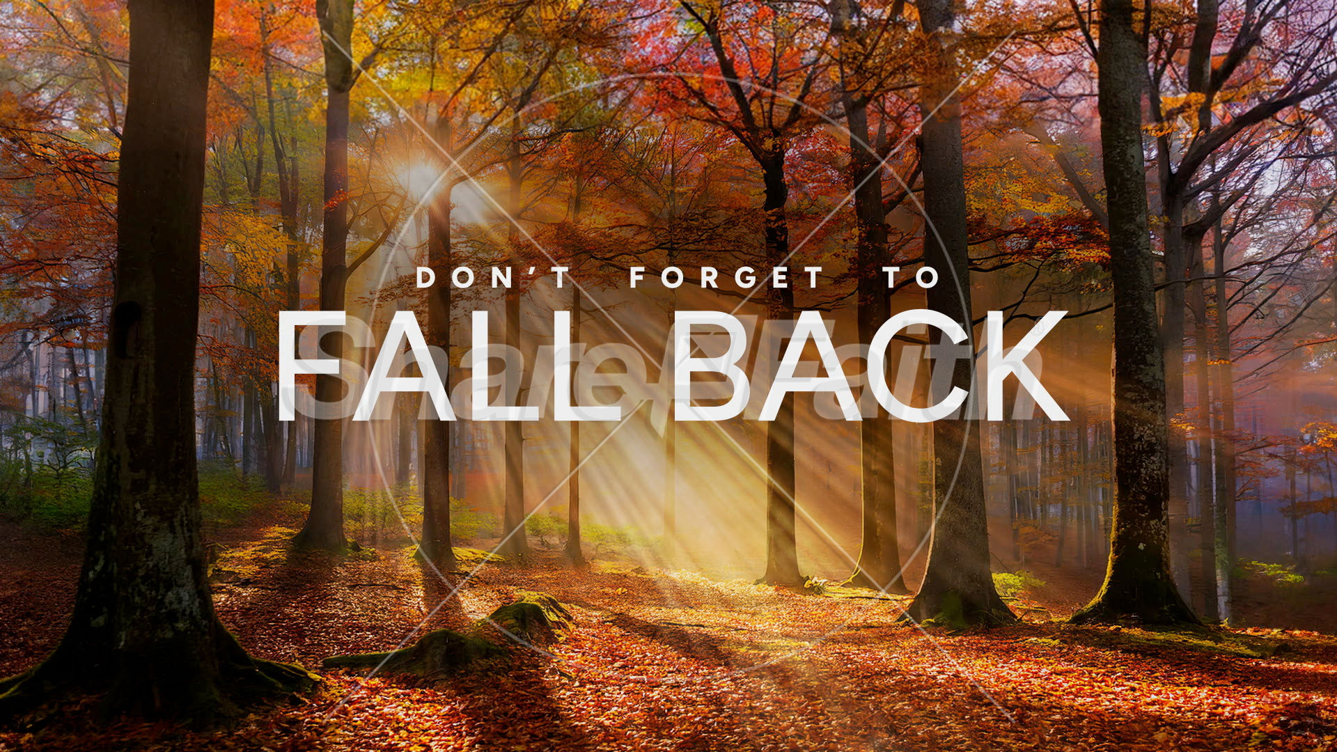 ShareFaith Media » Autumn Light Collection: Autumn Light Fall Back ...